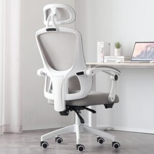 Silla Ergonómica Reclinable con Reposapiés Soporte Lumbar Gris